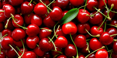 We are wholesale suppliers of cherries and our company
