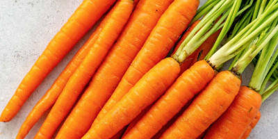 We are wholesale suppliers of fresh vegitables and carrots