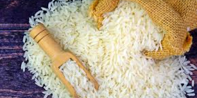 Jázmin rizs, hosszú szemű rizs és rövid szemű rizs