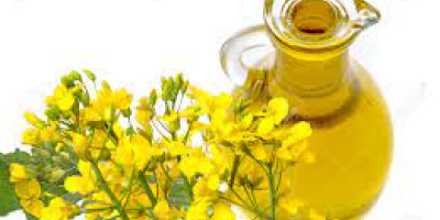 Top quality refined rapeseed oil/best quality rapeseed oil/ rapeseed