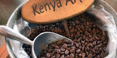 ROBUSTA Coffee Beans Price: $12.58/ Kilogram Minimum order quantity: