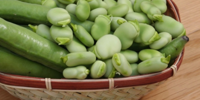 Broad beans for sale. Every day, freshly shelled in