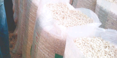 100kg bag of corn grains 270 bags available I.E
