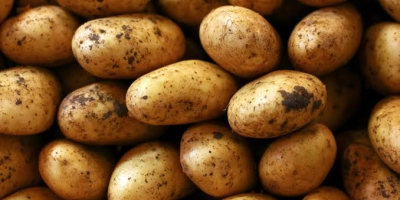 Пресните картофи се предлагат в Нигерия и могат да