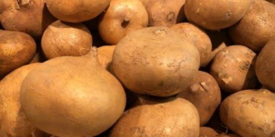 Пресните картофи се предлагат в Нигерия и могат да