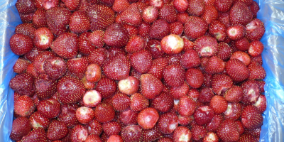 I will sell frozen strawberries. Country of origin -