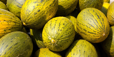 Laverida trópusi gyümölcsöket ömlesztve árul. Az ajánlat spanyol dinnyét