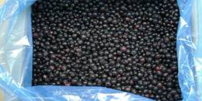 I am selling a frozen black currant. Country of