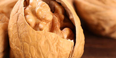 Walnut specialty walnuts delicious dried fruits thin-skinned walnut