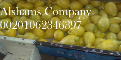We are ALshams for general import and export .