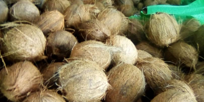We sell lime,mango,coconut,Pineapple,ginger,yam from IVORY COAST and Senegal