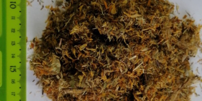 Hello, I am selling a herb or flower Arnica