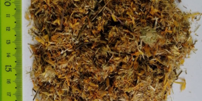 Hello, I am selling a herb or flower Arnica