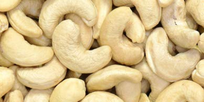 Dried Cashew Nuts Items Contents Usage Our cashew nets