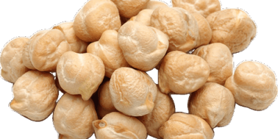 Chickpeas, also known as garbanzo beans, are part of