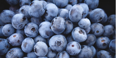 Good day! We are selling high quality blueberries wholesale