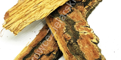 I will sell Oak bark (Quercus cortex), large quantities