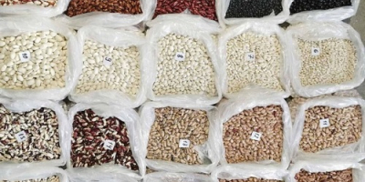 The Ukrainian company &quot;Bins Naturprodukt&quot; offers to wholesale beans.