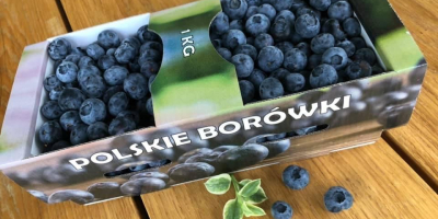 I will sell blueberry from my own cultivation. For