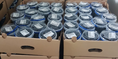 I will sell blueberry from our own plantation. We