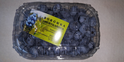 Hello, I am selling blueberries up to 1.5 tons