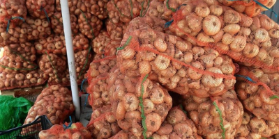 I sell Romanian onions wholesale. Production 2021