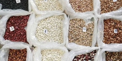 Beans (Ukraine) different varieties The Ukrainian company &quot;Bins Naturprodukt&quot;
