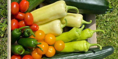 Caut legume și fructe mari pe tot parcursul anului.