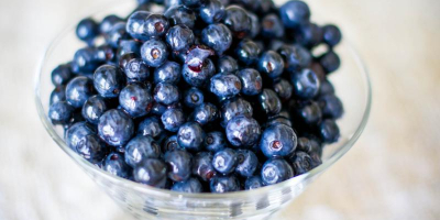 I offer fresh blueberries for PLN 15 / liter