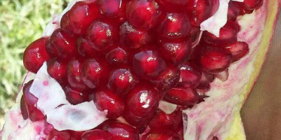 Dear customers , I offer you sweet pomegranate
