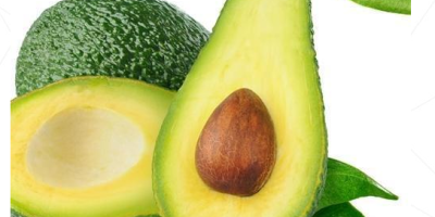 We offer Fresh avocado packed in printed carton, Solid