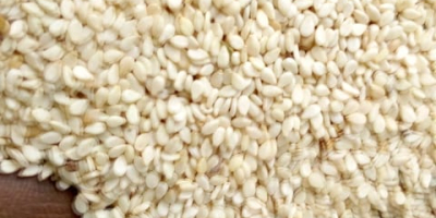 White sesame seeds