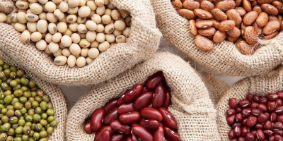 Selling quality beans from Ukraine. More than 20 varieties