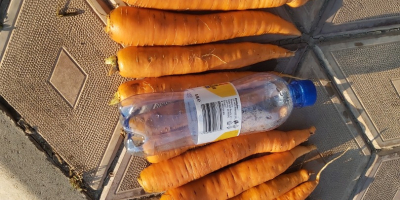 Preis: verhandelbar je nach gewünschter Menge. Lokaler Produzent aus