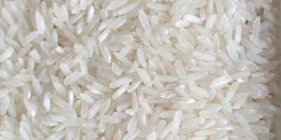 Weißer Langkornreis - Oryza Sativa, Qualität I Weißer Reis
