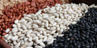 We export quality beans from Ukraine. More than 20