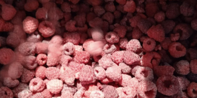 I will sell a frozen raspberry 80/20 from Ukraine.