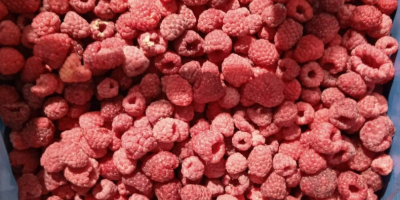 I will sell a frozen raspberry 80/20 from Ukraine.