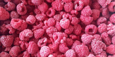 I will sell a frozen raspberry from Ukraine, not