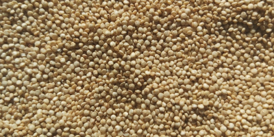 Quinoa is a unique product originating from peruvian Andes.