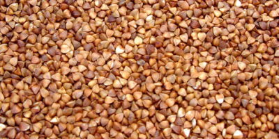 We are cereals, legumes and other products packer and