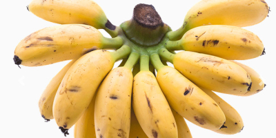 Avocado organic, banane dulci exotice pentru bebeluși, ananas tropical