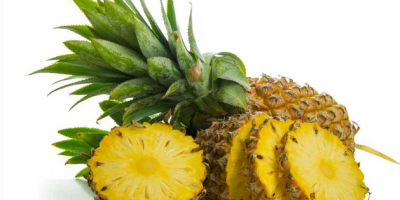 Bio-Avocado, exotische süße Babybananen, tropische Bio-Ananas