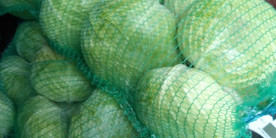 Autumn cabbage for sale in Halmeu, Satu-Mare County, price