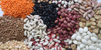 Beans in assortment. More than 20 varieties Bins Naturprodukt