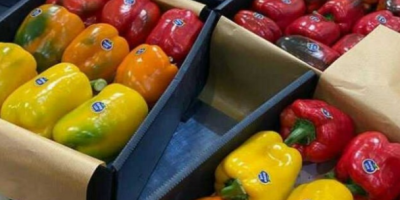 Виды продуктов из цветного перца разных размеров и цветов