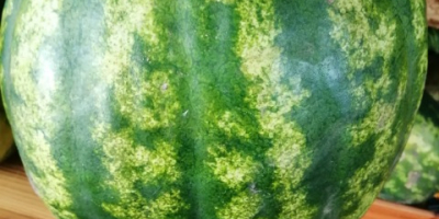 Fühlen Sie sich frei, Wassermelone zu kaufen, Wassermelone 150