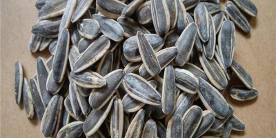 rop Black Sunflower Seeds Price High Quality - Buy
