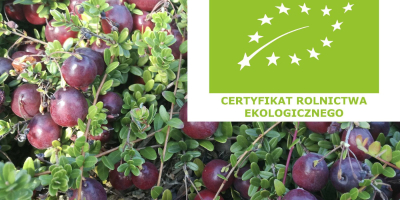 Клюква органическая с экологическим сертификатом. Органическая клюква сертифицированного выращивания