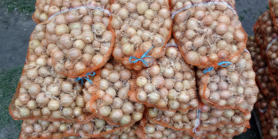 I will sell bagged onion 70 groszy per kg,